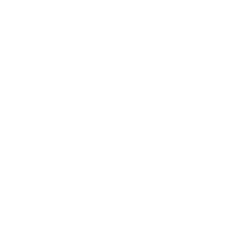 RDT-Media